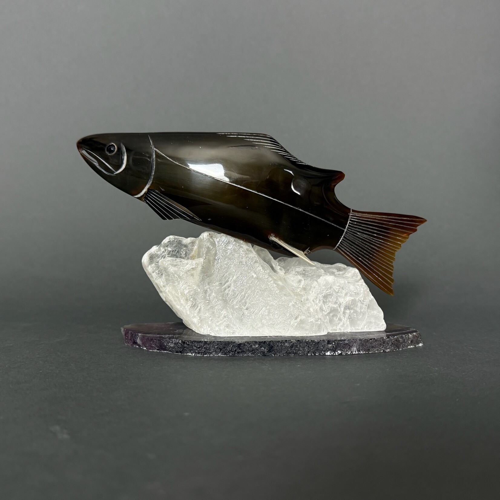 Eddie Lee Spawning Salmon #340