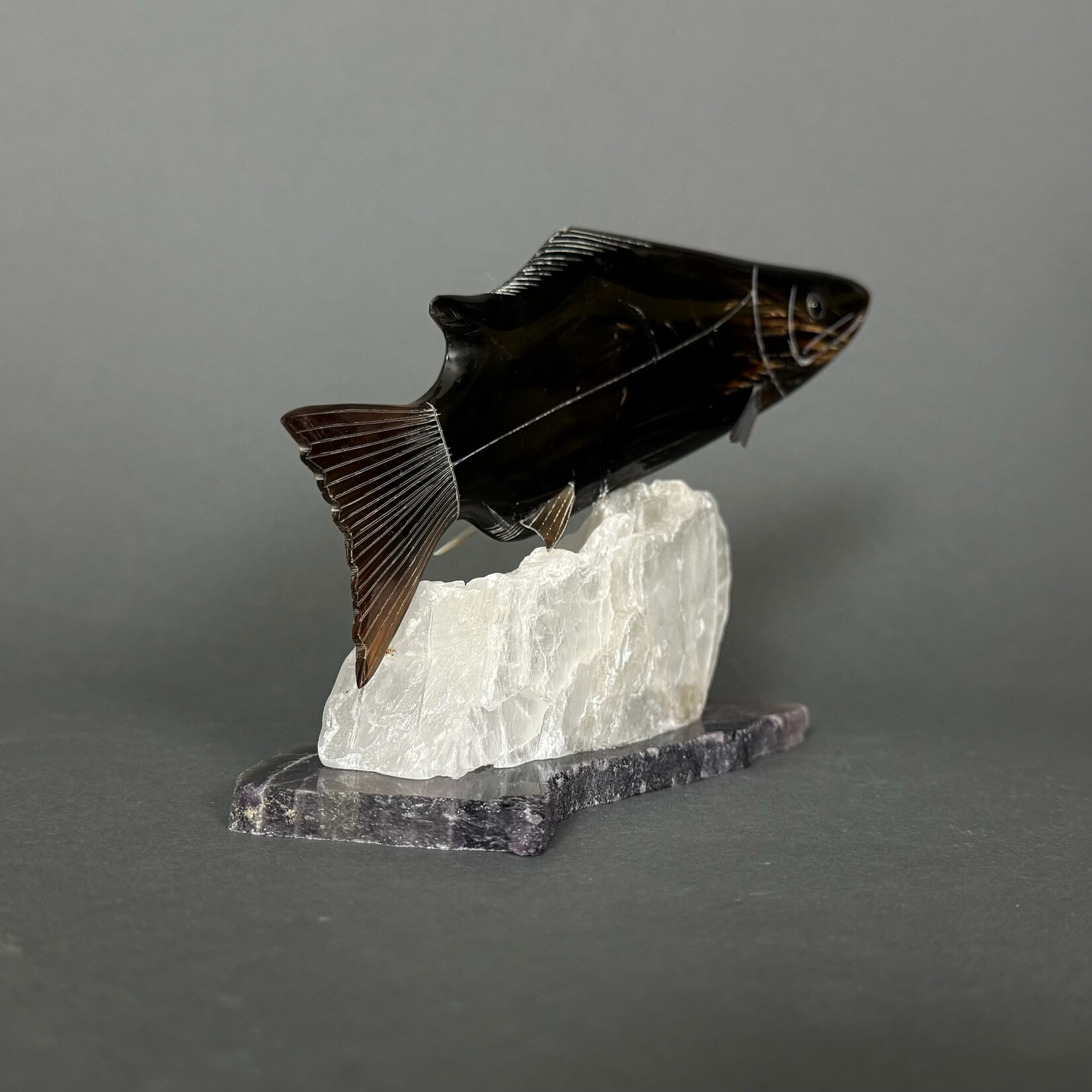 Eddie Lee Spawning Salmon #340