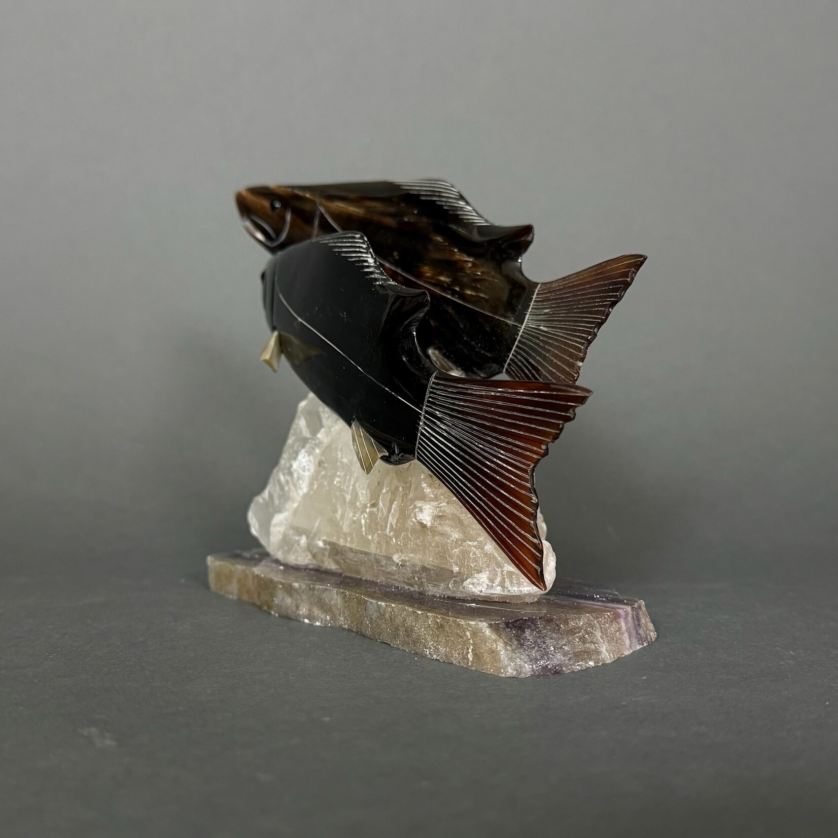 Eddie Lee Spawning Salmon #338