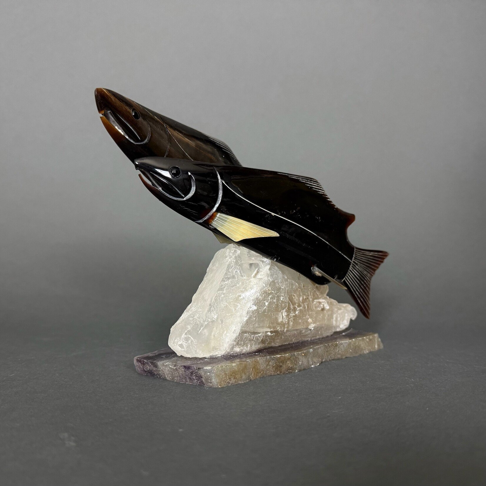 Eddie Lee Spawning Salmon #338