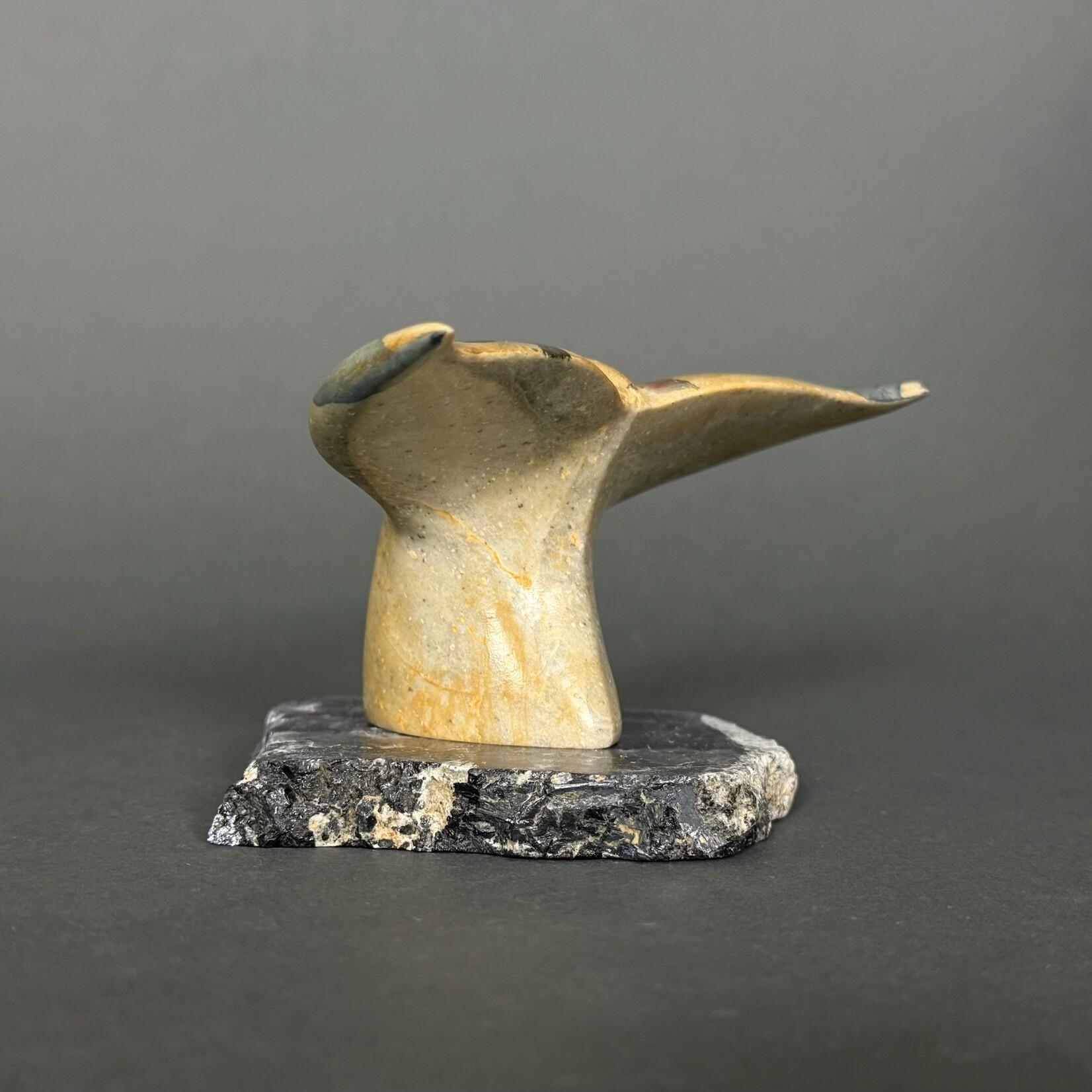 Eddie Lee Whale Fluke #326