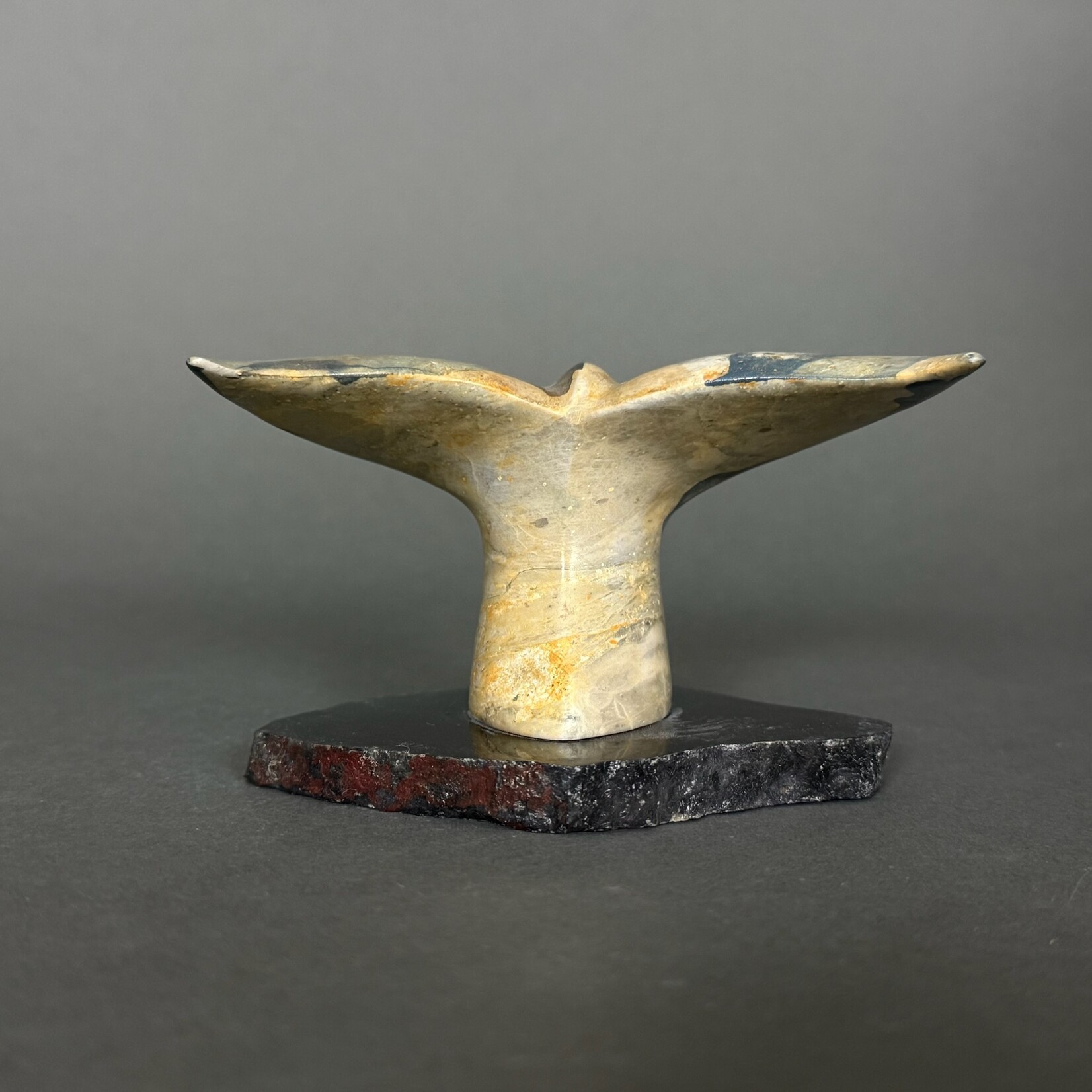 Eddie Lee Whale Fluke #325