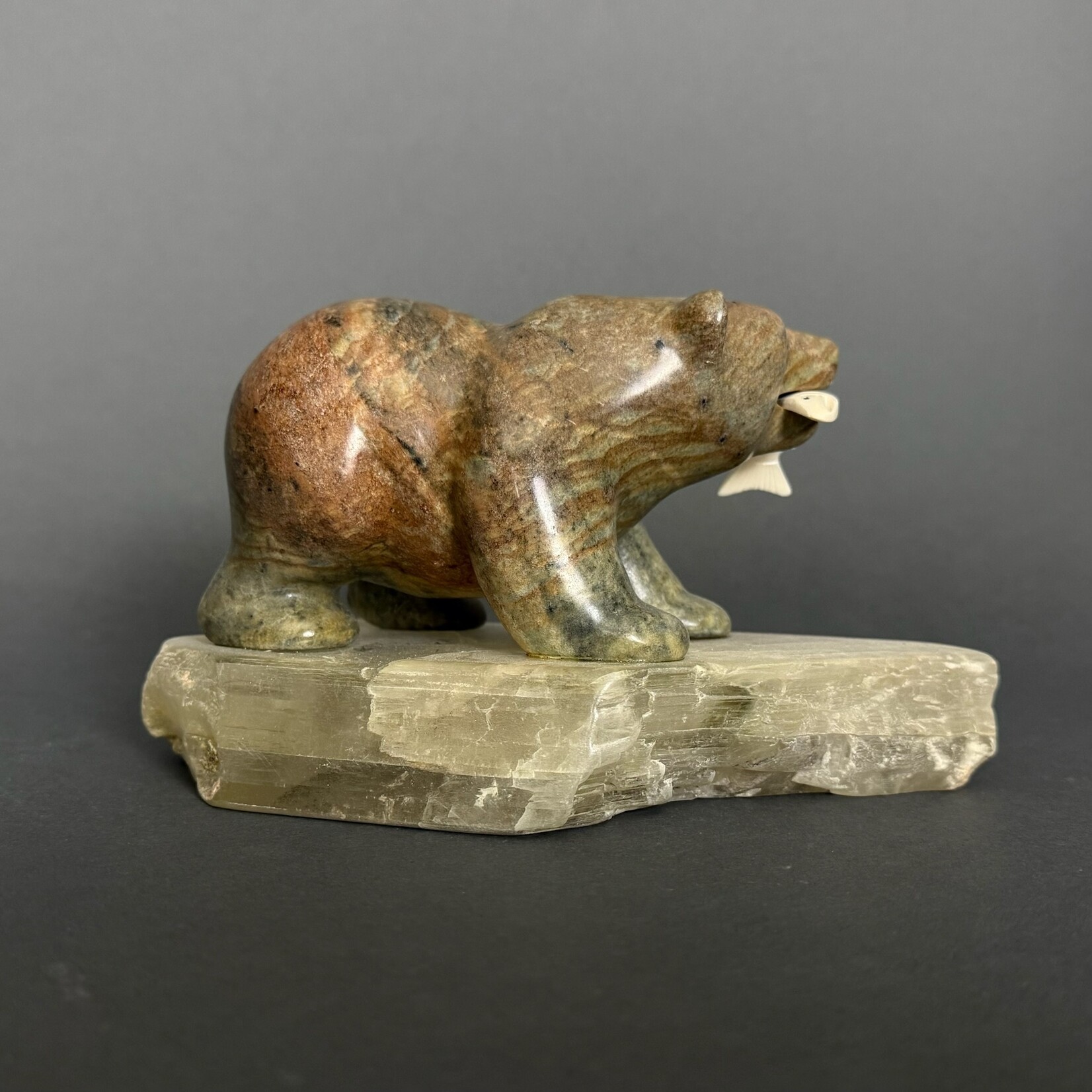 Eddie Lee Hungry Bear #322