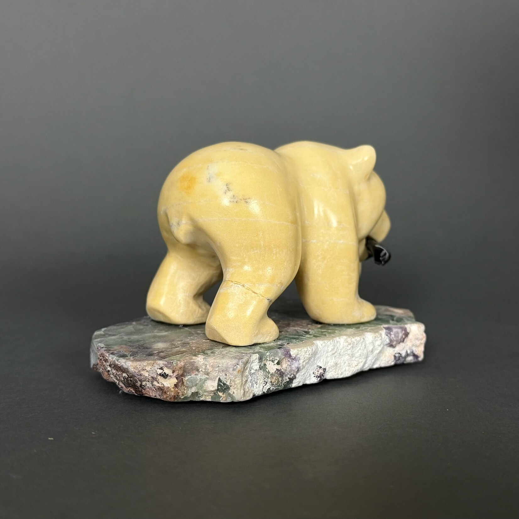 Eddie Lee Hungry Bear #316