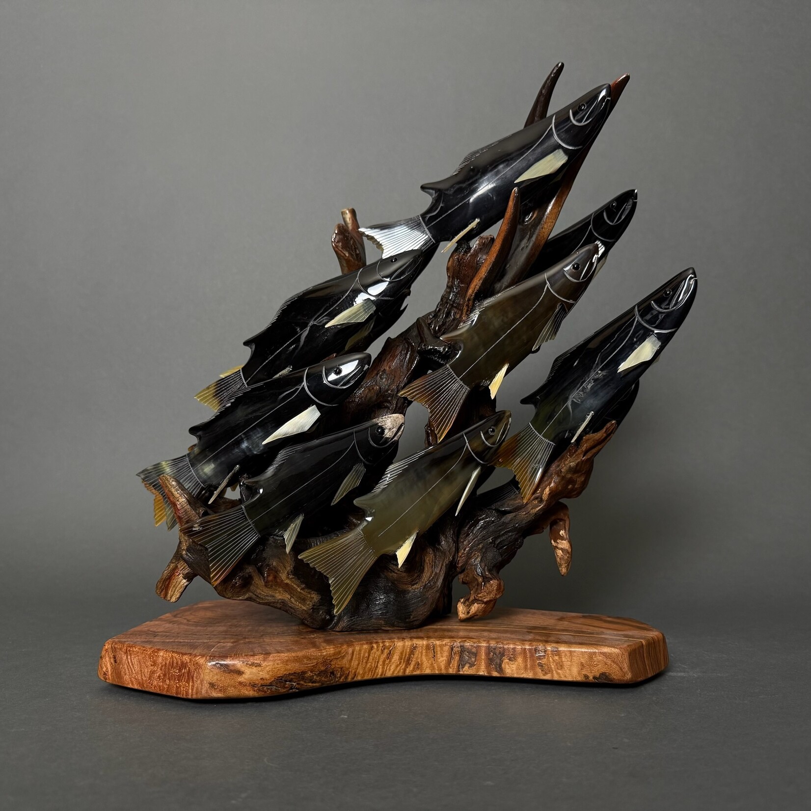 Eddie Lee Spawning Salmon #306