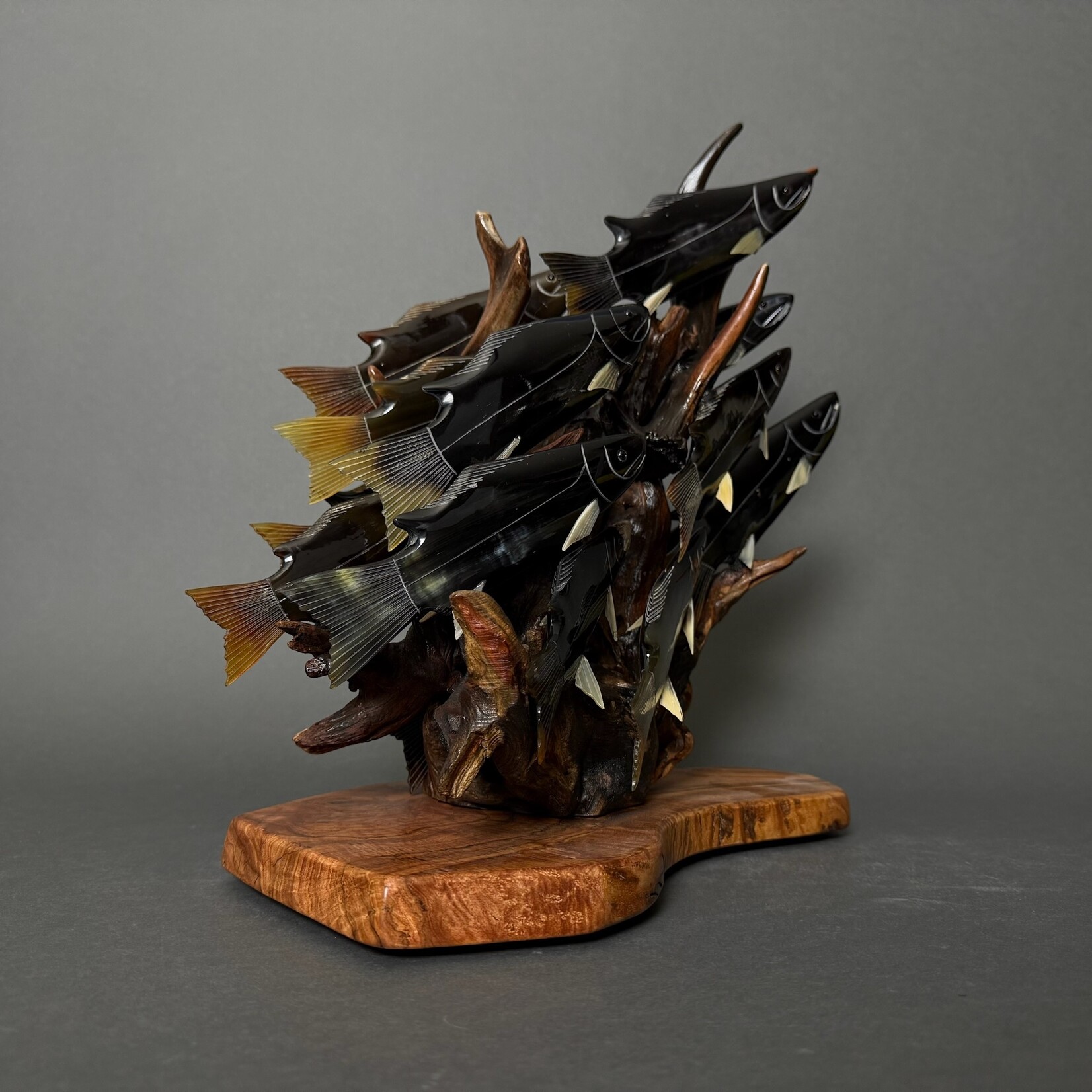 Eddie Lee Spawning Salmon #306