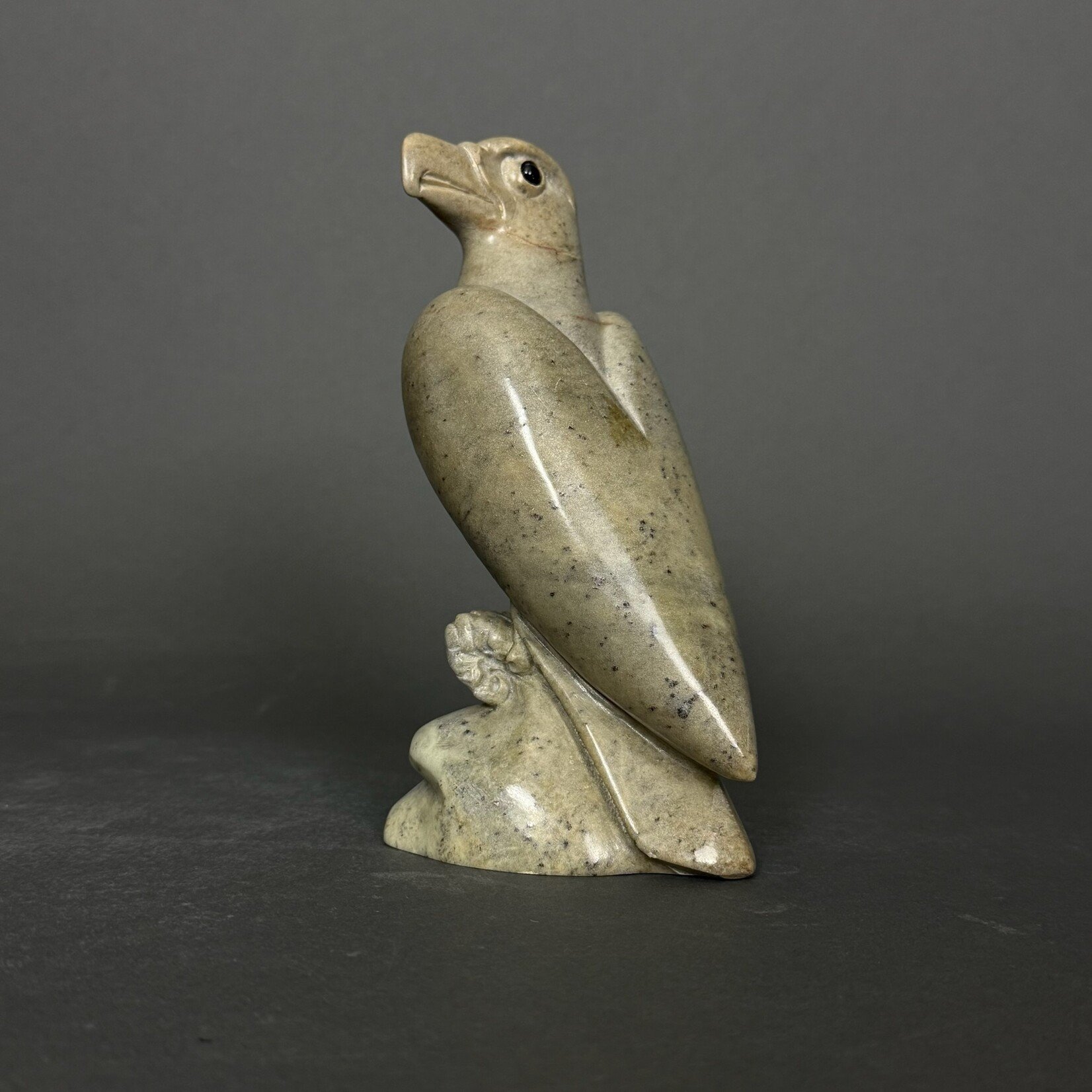 Eddie Lee Eagle #304