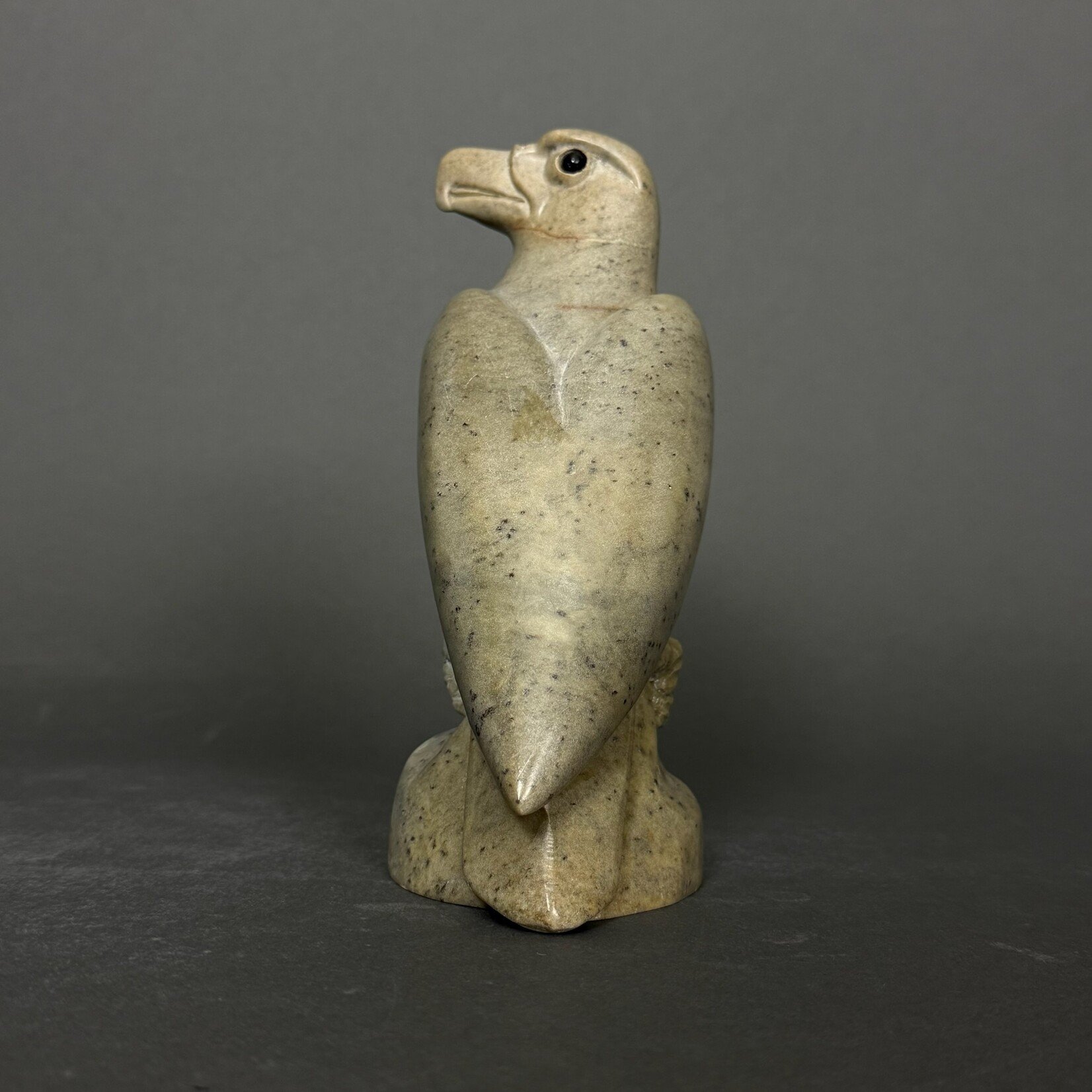 Eddie Lee Eagle #304