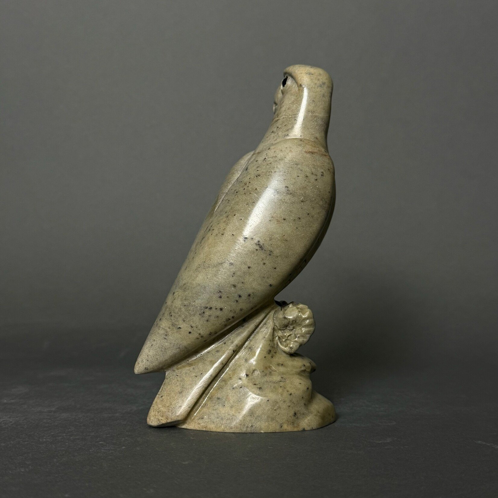 Eddie Lee Eagle #304