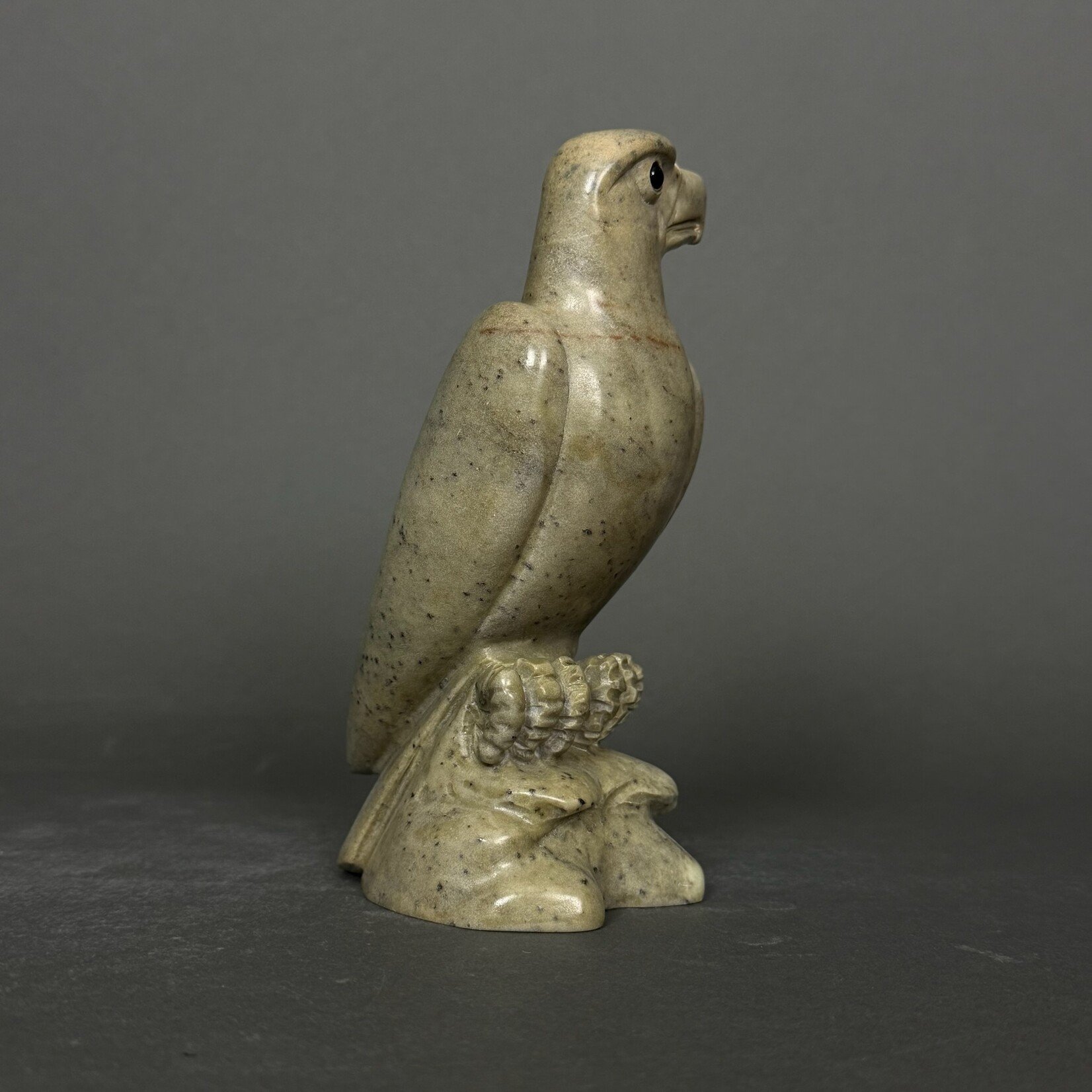 Eddie Lee Eagle #304