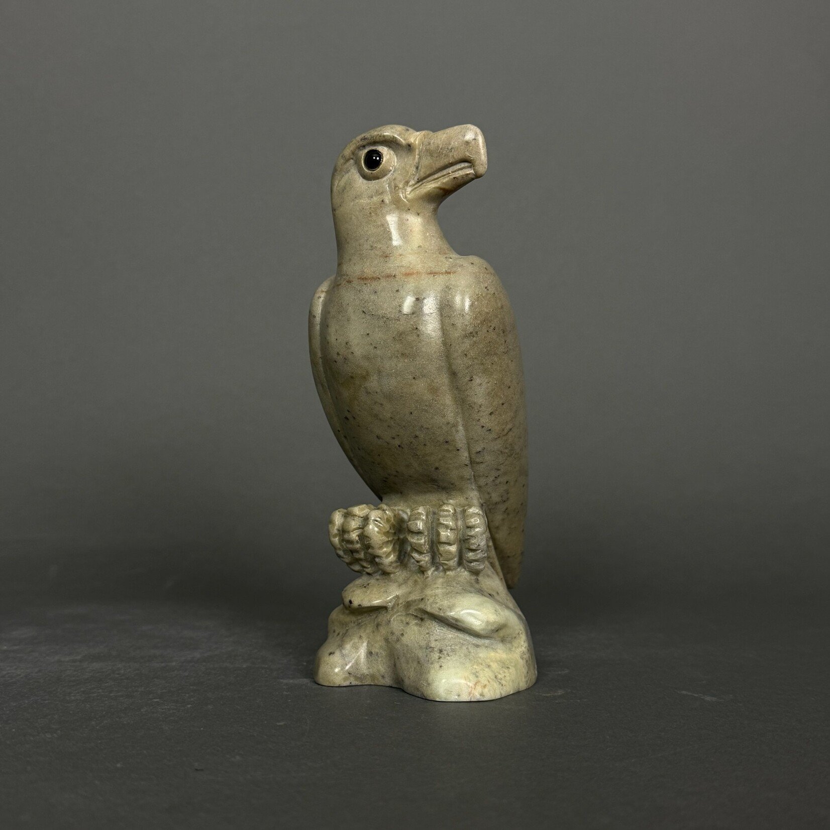 Eddie Lee Eagle #304