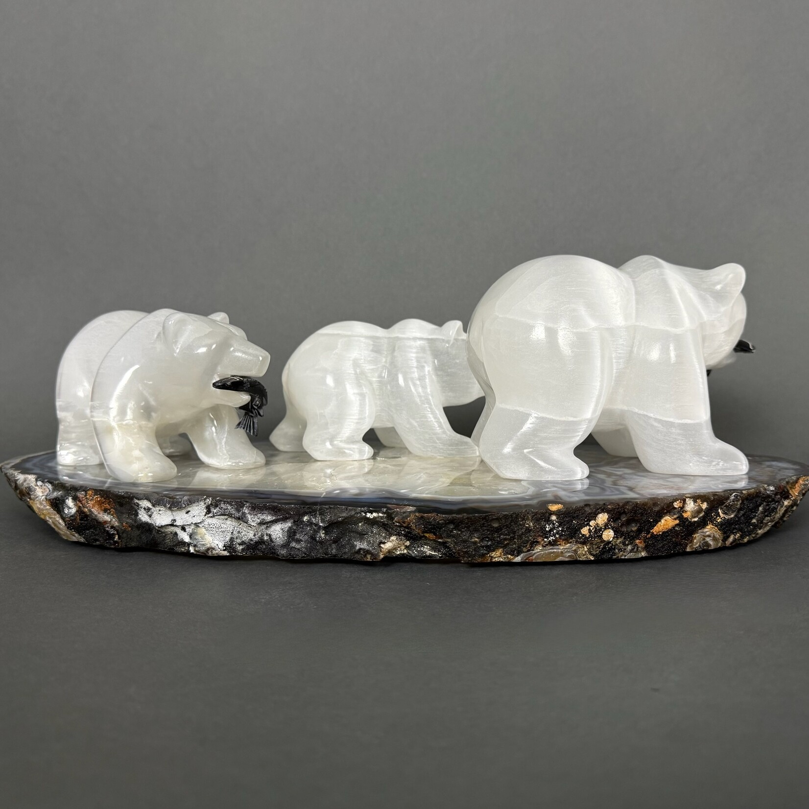 Eddie Lee Bear Family #295