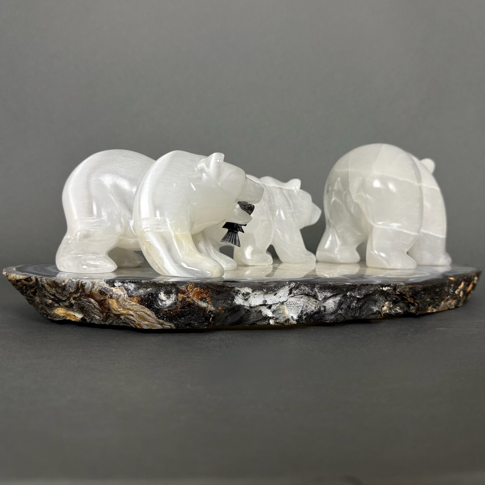 Eddie Lee Bear Family #295