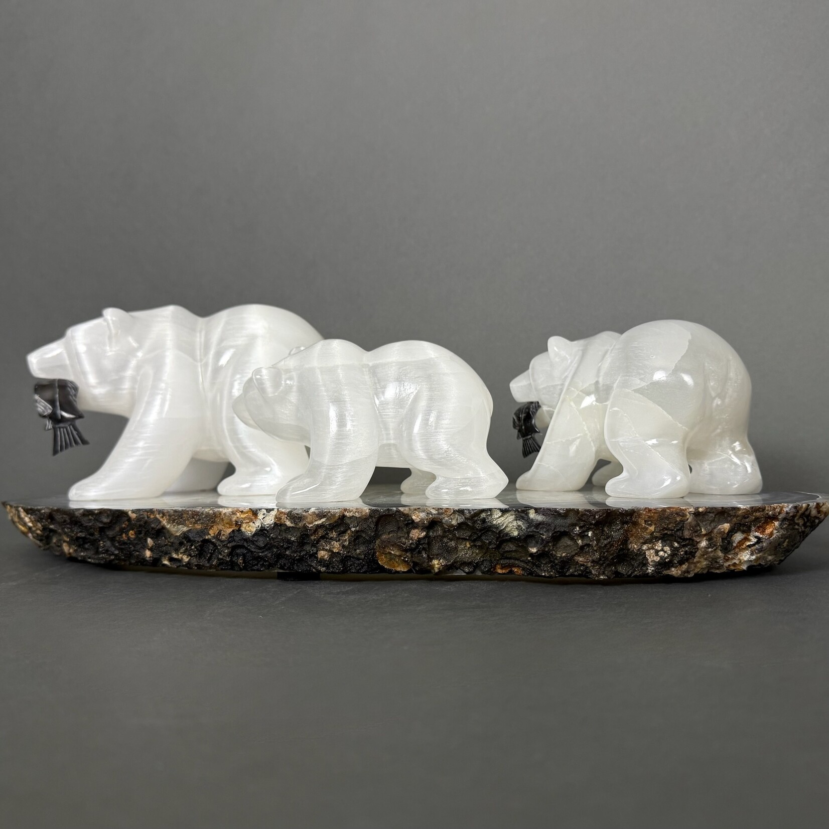 Eddie Lee Bear Family #295