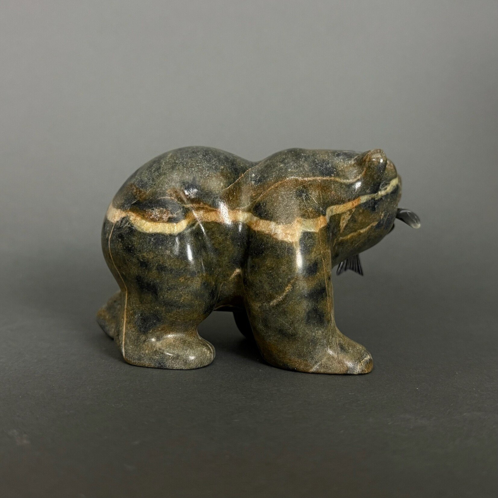 Eddie Lee Hungry Bear #369