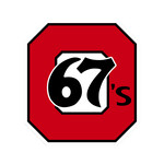 OTTAWA 67's 67's Wall Cling