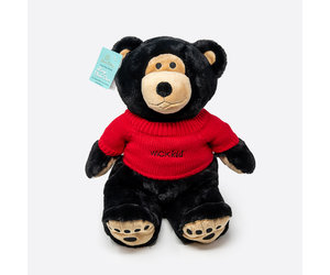 Warm Buddy: Cuddle Buddy Bear