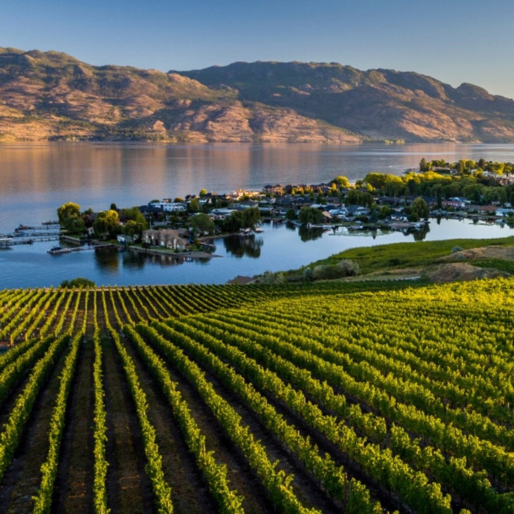 Valley to Coast: Welcoming Quails' Gate Estate Winery