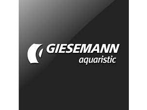 Giesemann