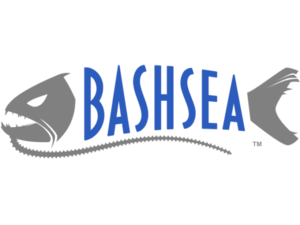 Bashsea