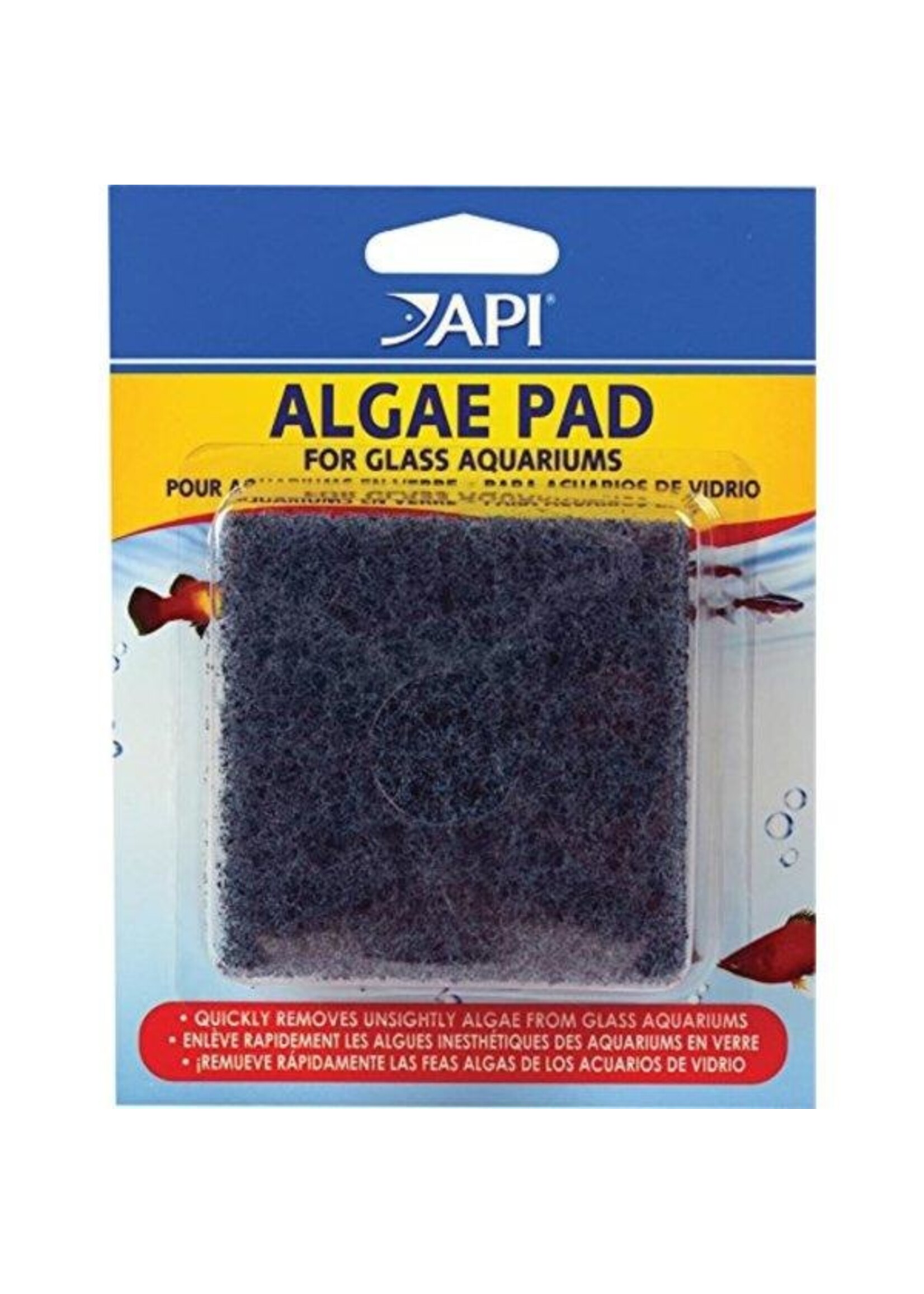 API ALGAE SCRAPER PAD GLASS The Hidden Reef, Inc