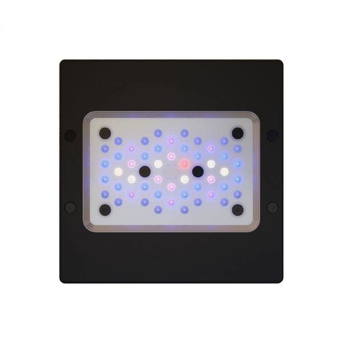RADION XR15 G6 BLUE