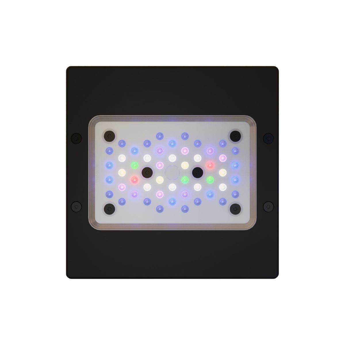 ECO RADION XR15 G6 PRO - The Hidden Reef, Inc