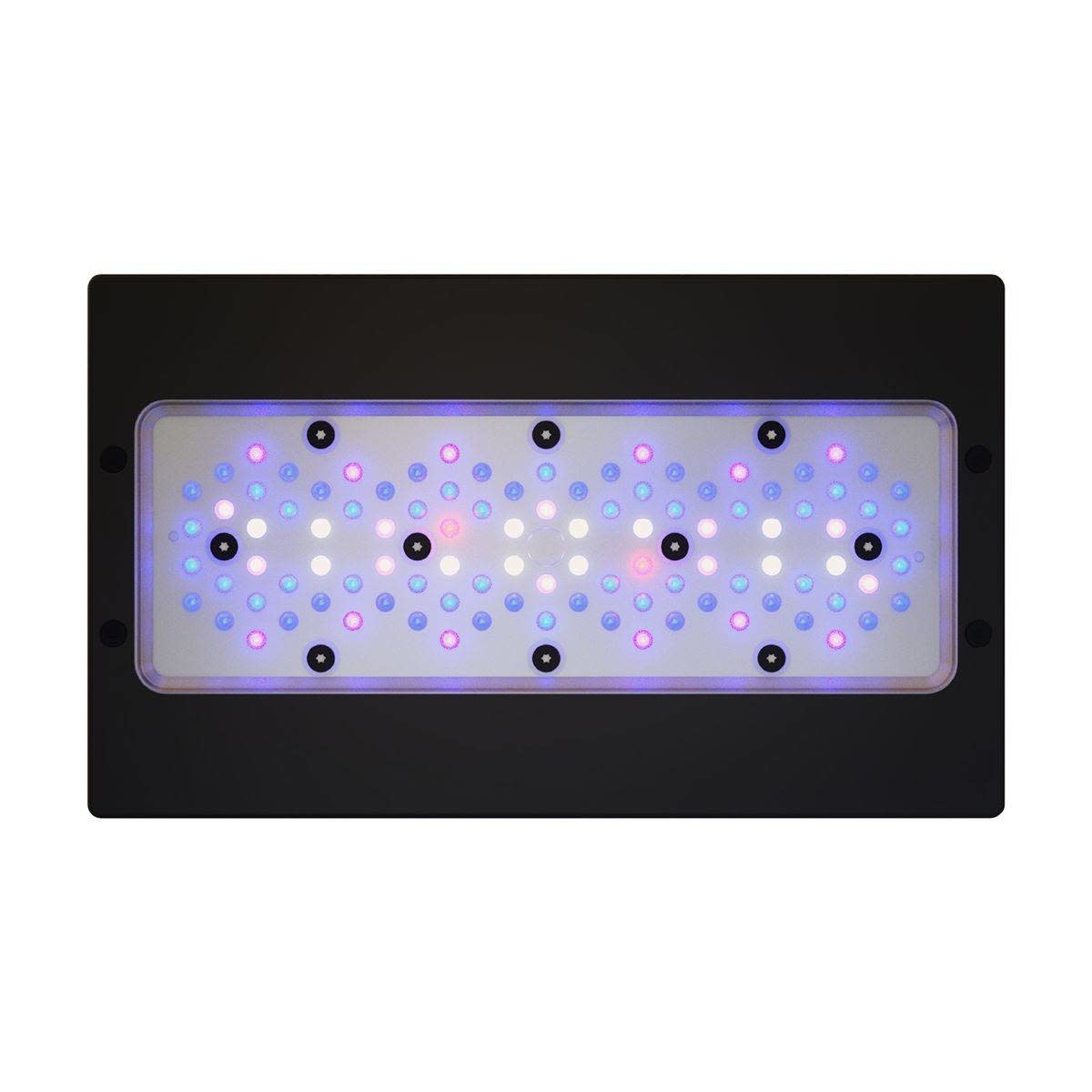 RADION XR30 G6 BLUE