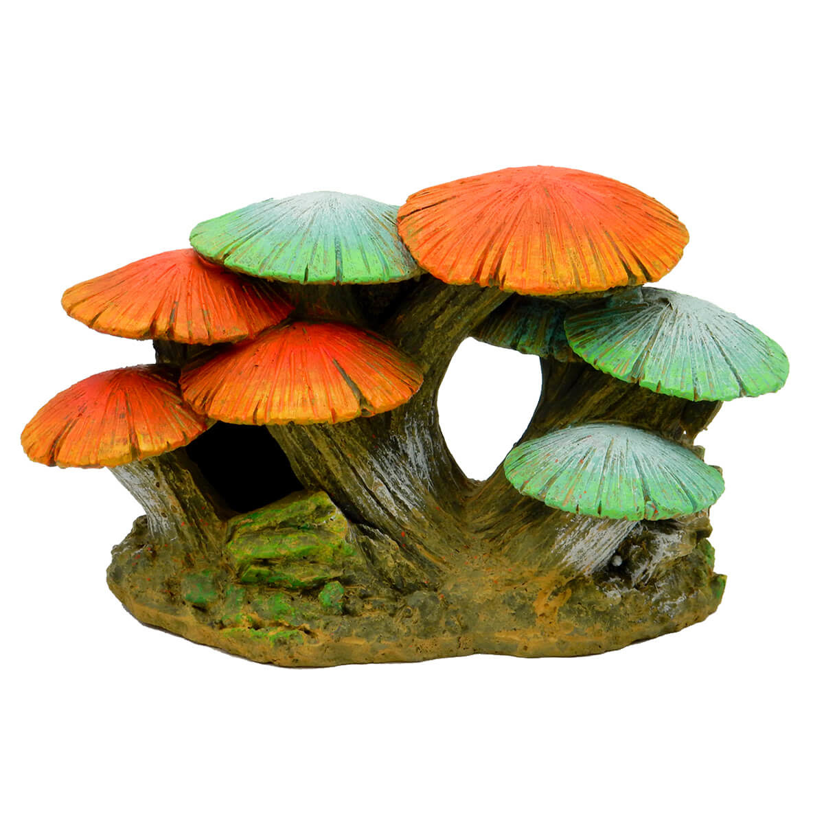 MUSHROOM GARDEN