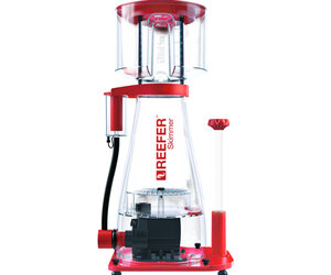 レッドシーREEFER SkimmerRSK600 50Hz 中古 RSEA SKIMMER REEFER 600 - The Hidden Reef, Inc
