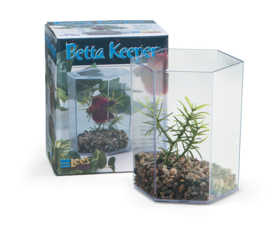 BETTA HEX GRAVEL & PLANT