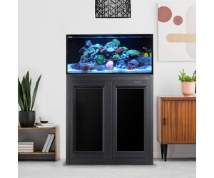 innovative-marine-nuvo-fusion-