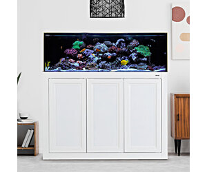 IM NUVO FUSION SR PRO 2 - 80 AIO AQUARIUM W/APS STAND WHITE - The