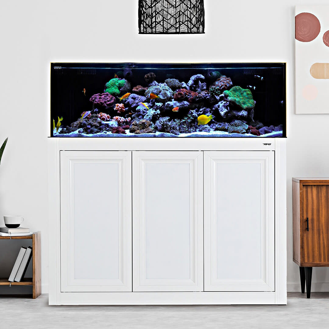 ACQUARIO 520ml 2本セット BEONE IM NUVO FUSION SR PRO 2 - 80 AIO AQUARIUM W/APS STAND WHITE - The