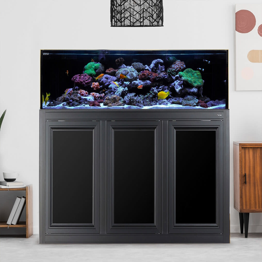 innovative-marine-nuvo-fusion-