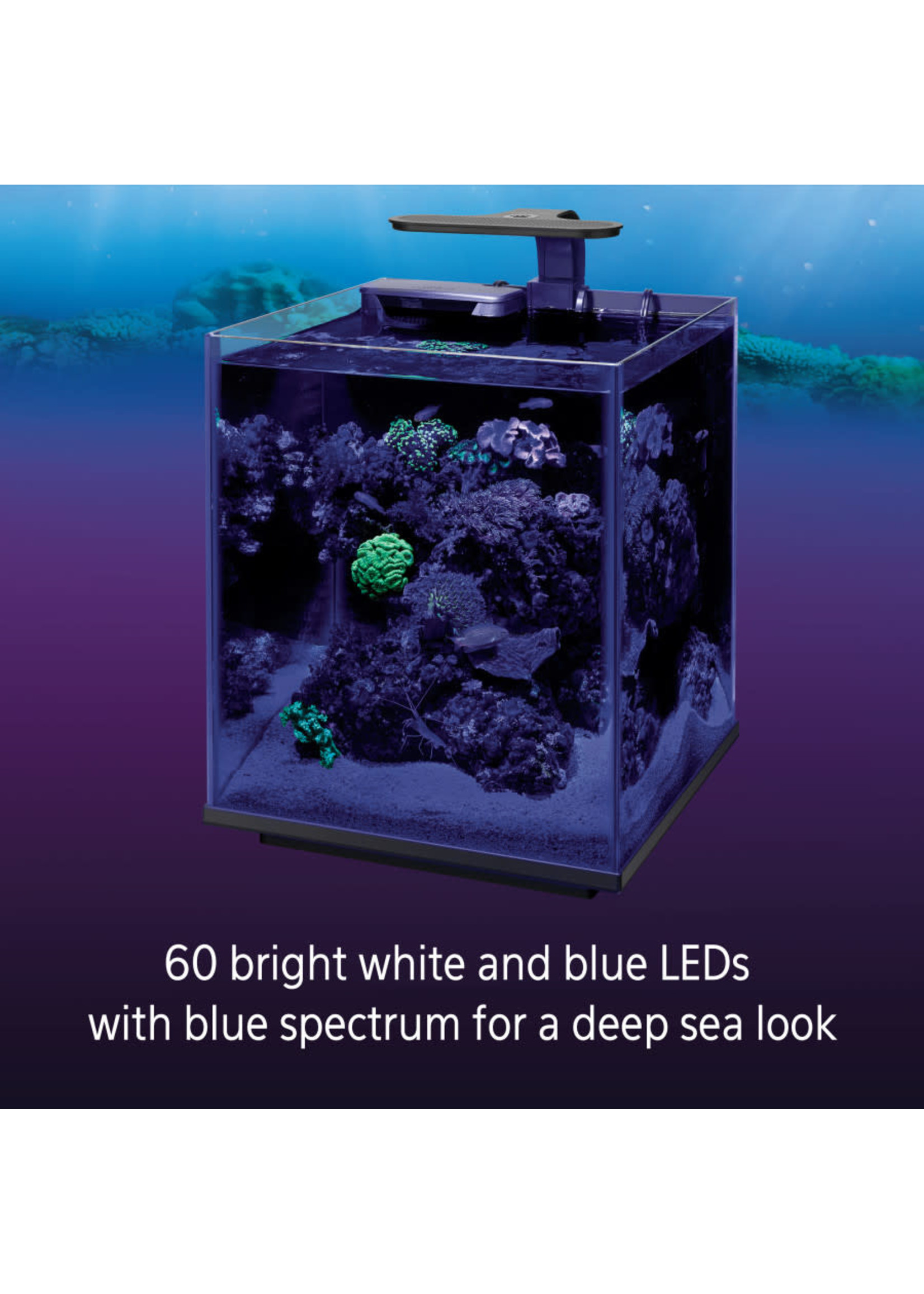 Coralife AQUA LED CLIP MARINE LIGHT