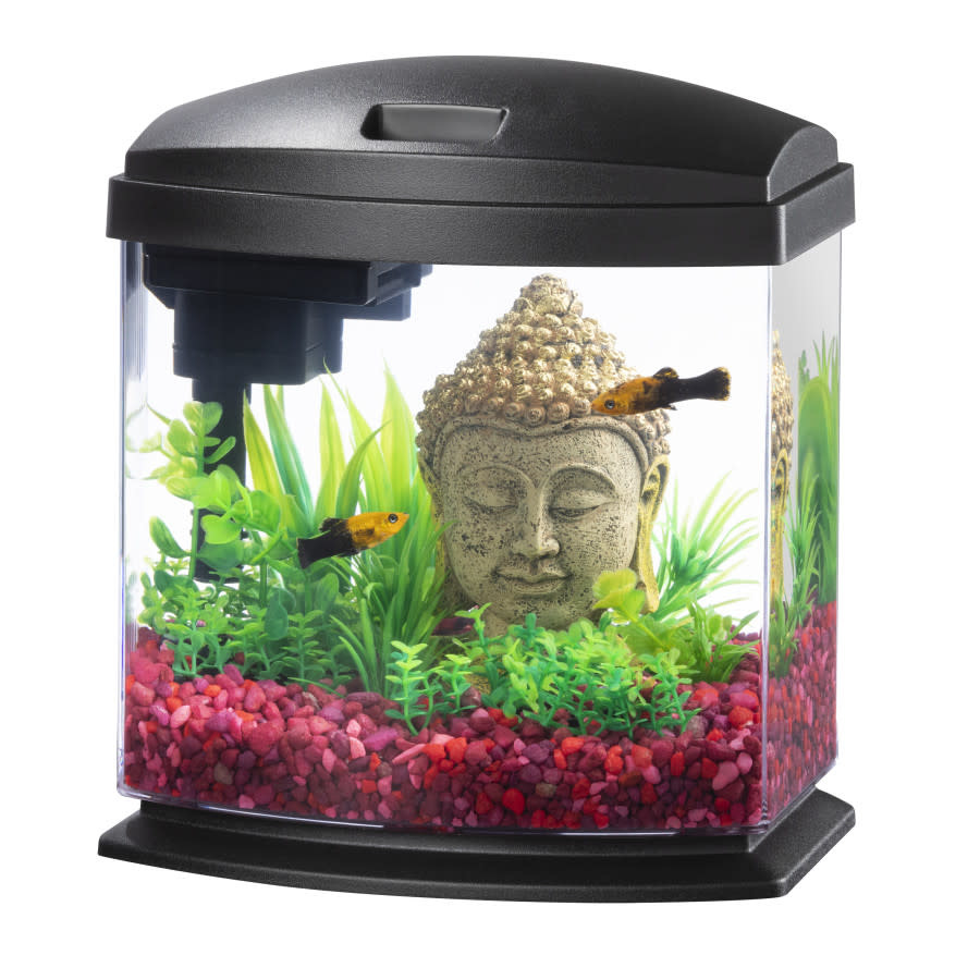 AQUEON BETTA BOW KIT MINI W SMART CLEAN BLACK 1 G - The Hidden Reef, Inc