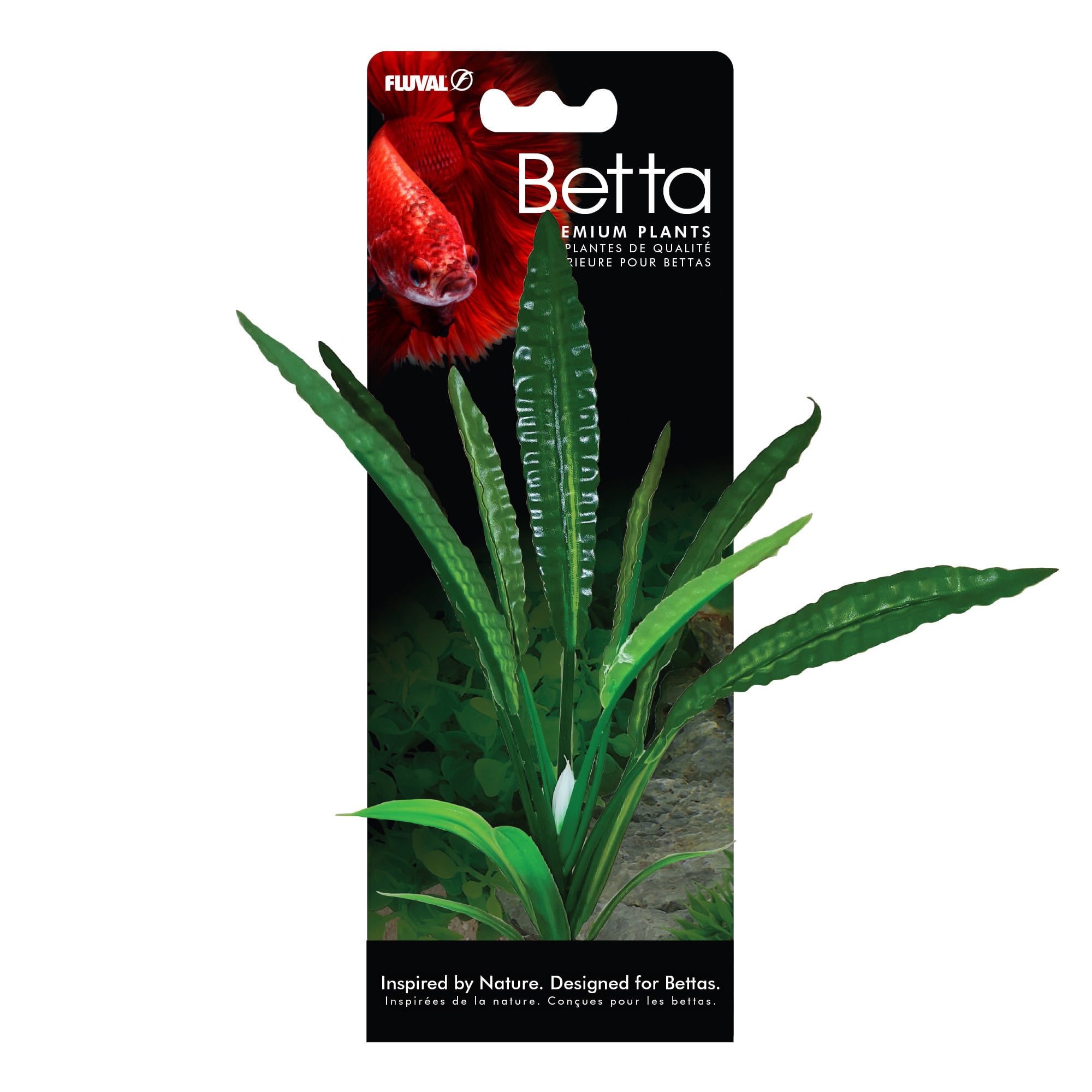 BETTA WATER TRUMPET PLANT 8"