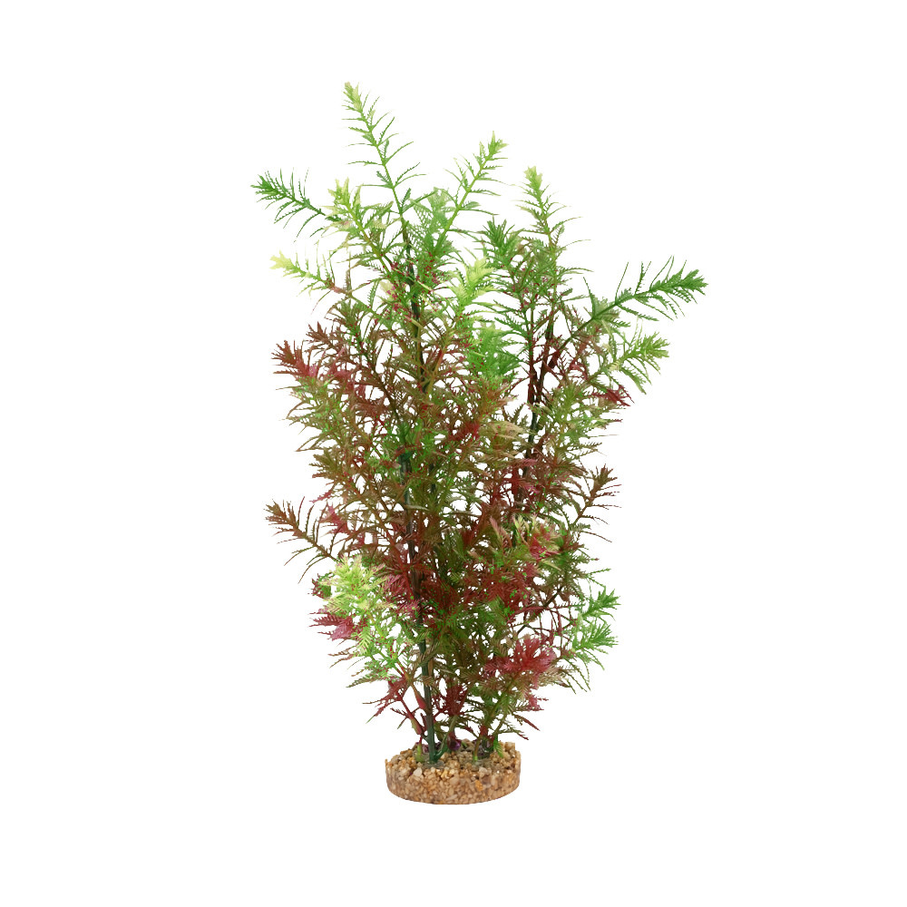 GREEN MYRIOPHYLLUM 14"
