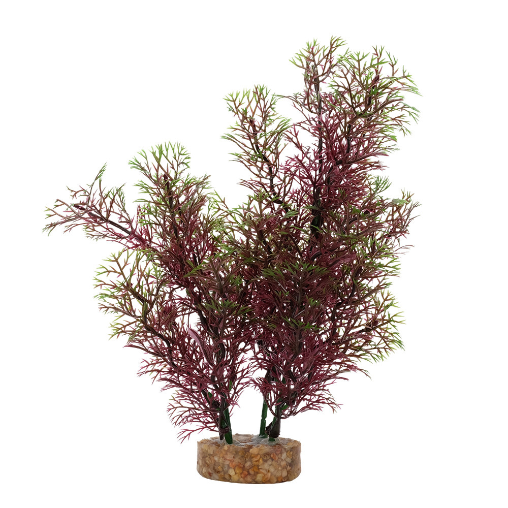 RED GREEN FOXTAIL 8"