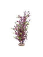 Fluval RED ROTALA 10 "