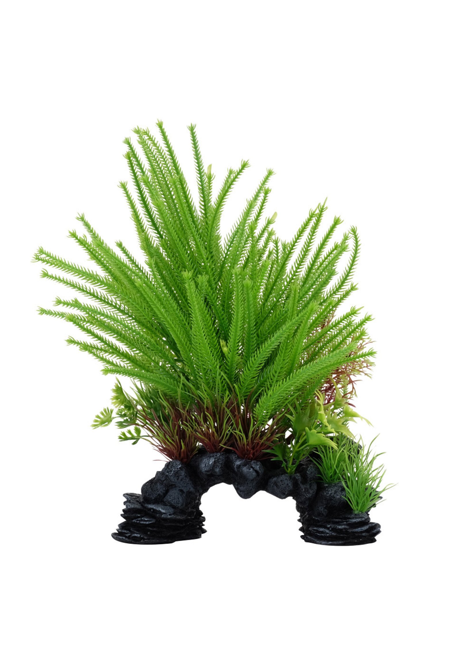 Fluval PRINCES PINE DECOR 10"