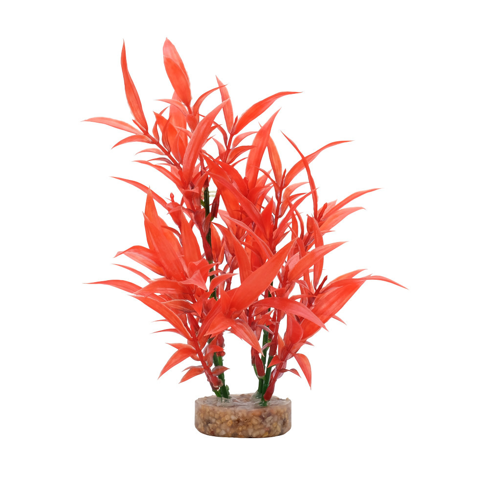 INTENSE RED HYGROPHIL 8"