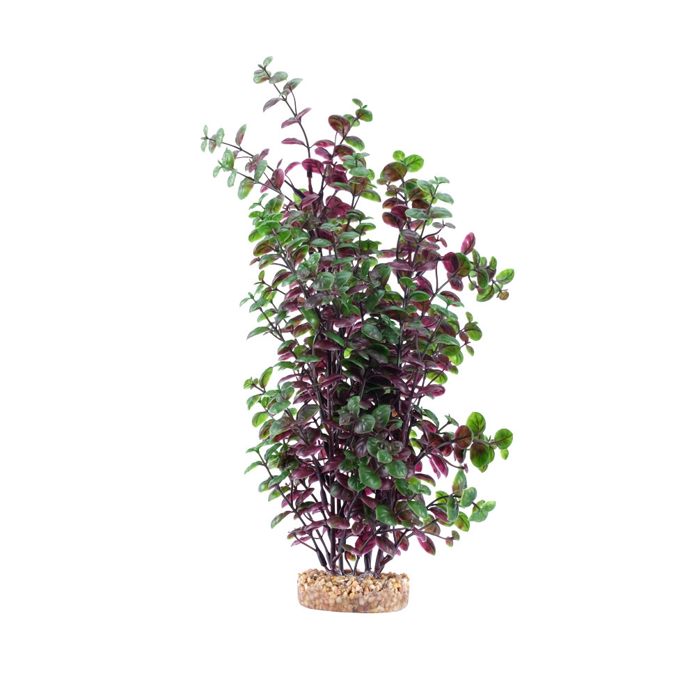 RED BACOPA 14"