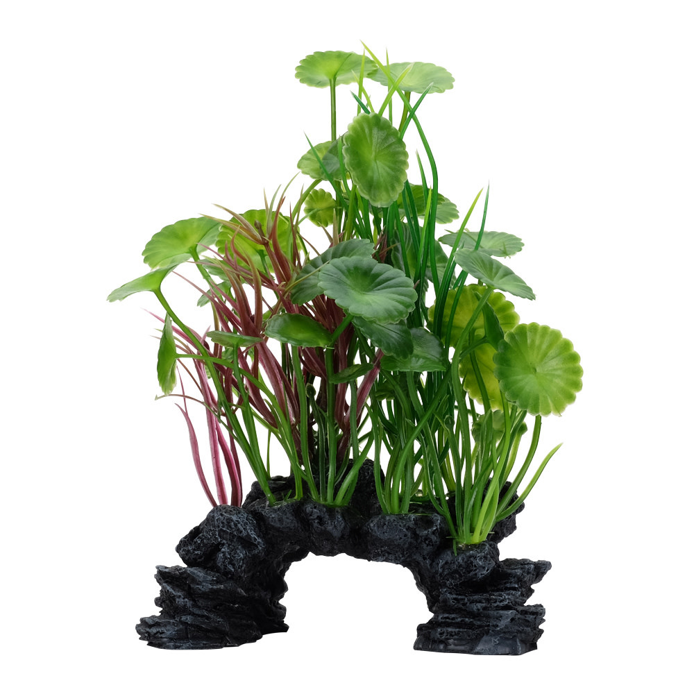 GREEN LYSIMACHI DECOR 8"