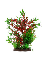 Fluval RED LUDWIGIA DWARF PLANT  8"