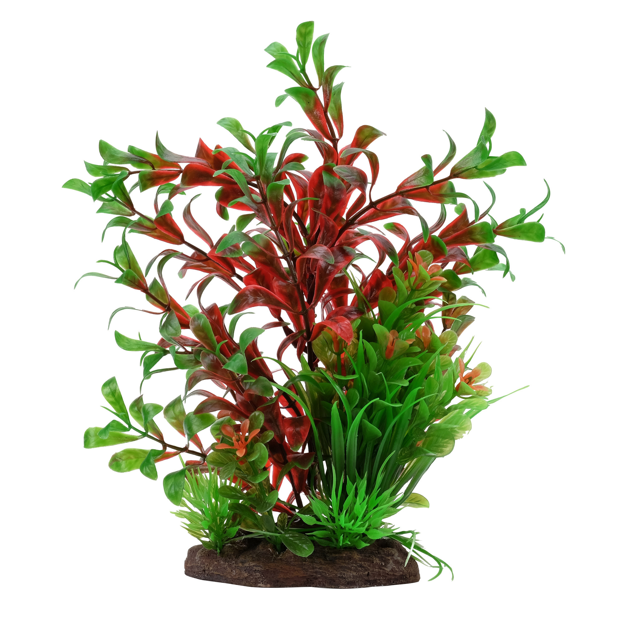 RED LUDWIGIA DWARF PLANT 8"