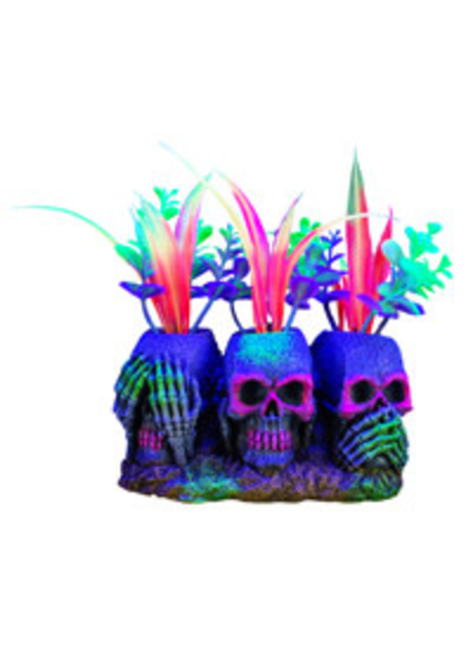 Marina MARINA IGLO 3 SKULLS W PLANTS