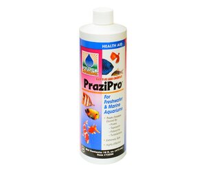 k*k様 Hikari PRAZIPRO 16 fl. oz. 水質調整剤 aquarium-solution-prazipro-16-