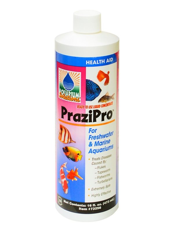 Aquarium Solution The Hidden Reef, Inc